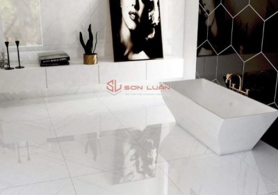 Gạch Ốp Lát Apodio 88181039
